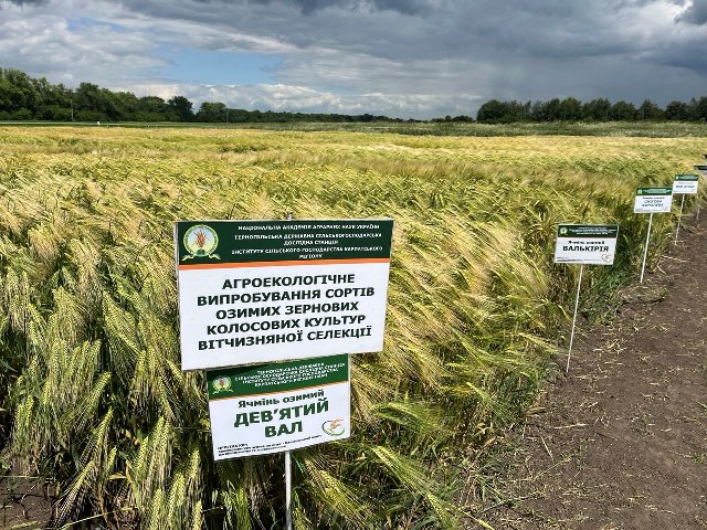 Дослідні ділянки